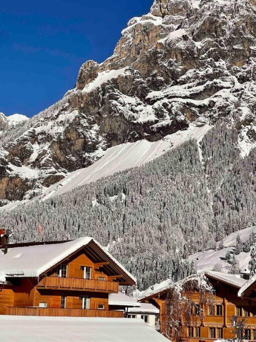 Alpine Chalet Kandersteg Exterior photo